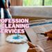 Professional cleaning services